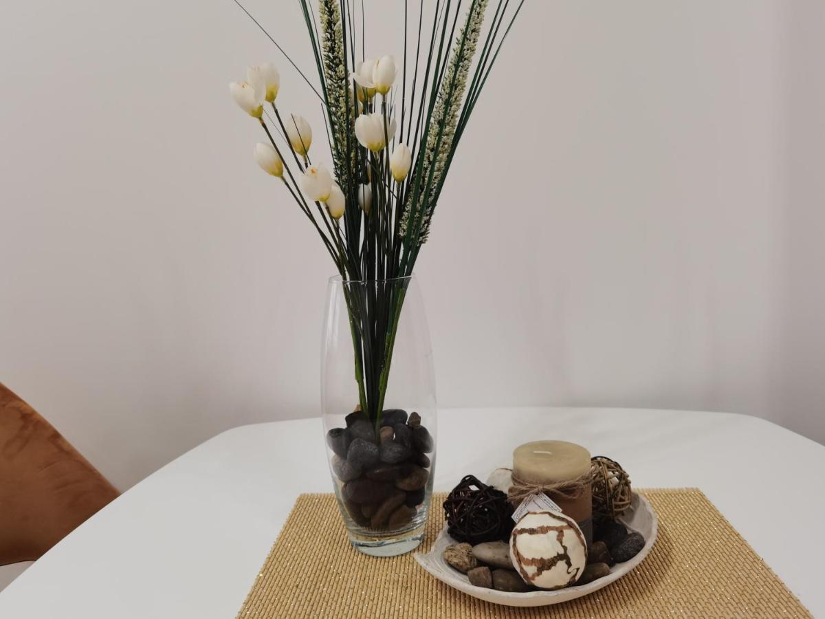 Igman Apartments טיווט מראה חיצוני תמונה